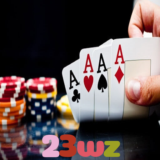 23wz